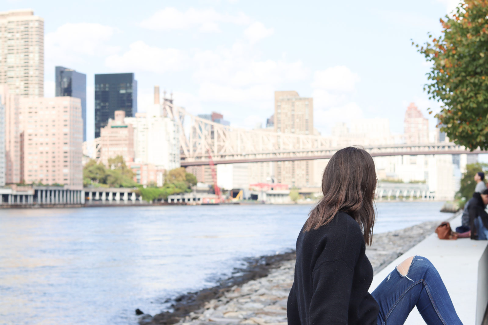 Exploring Roosevelt Island The Ultimate Addition to Your NYC Bucket