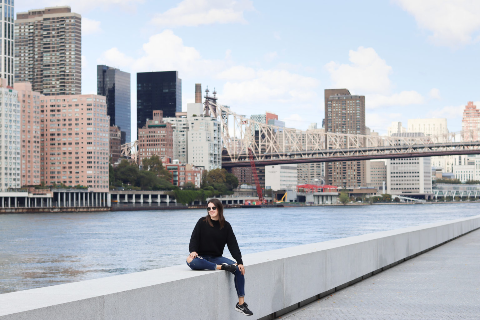 Exploring Roosevelt Island The Ultimate Addition to Your NYC Bucket