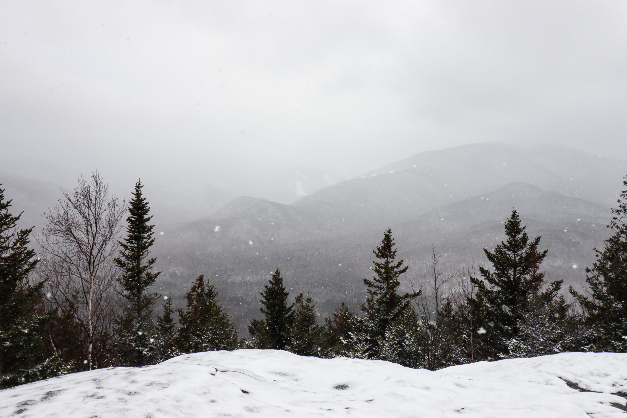 Mount Jo Winter