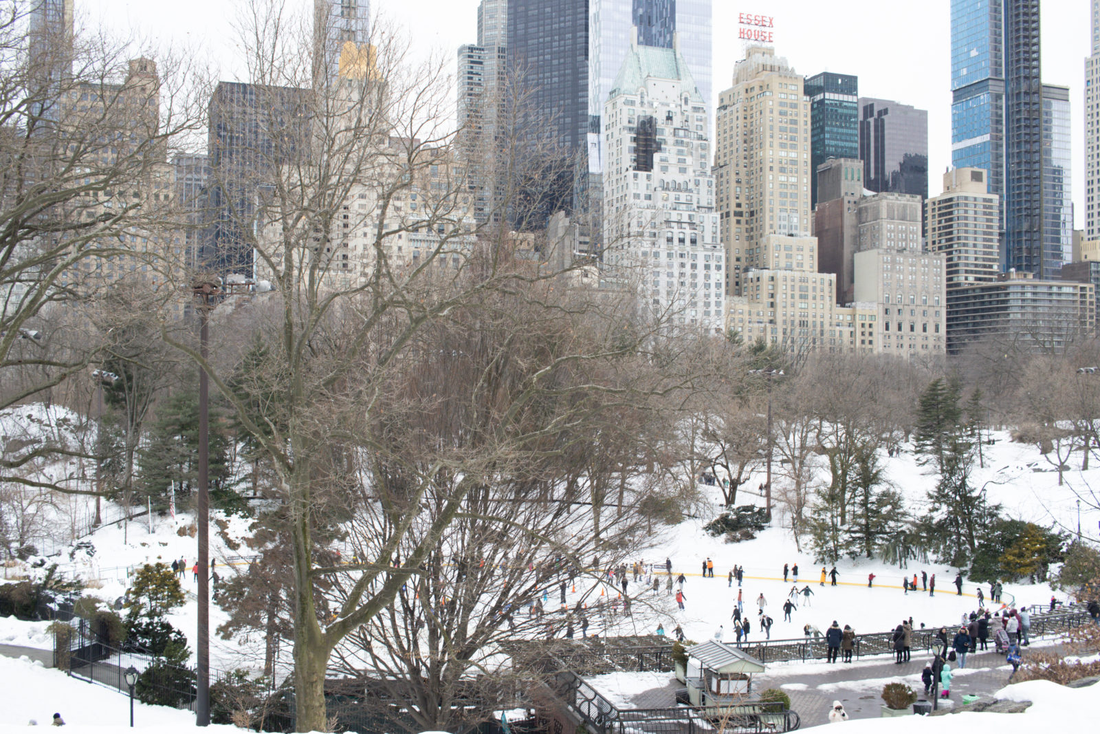 The Top 6 Winter Activities In New York City - Janessa And Colin