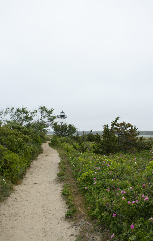 Trail to a lighthouse on Martha's Vineyard