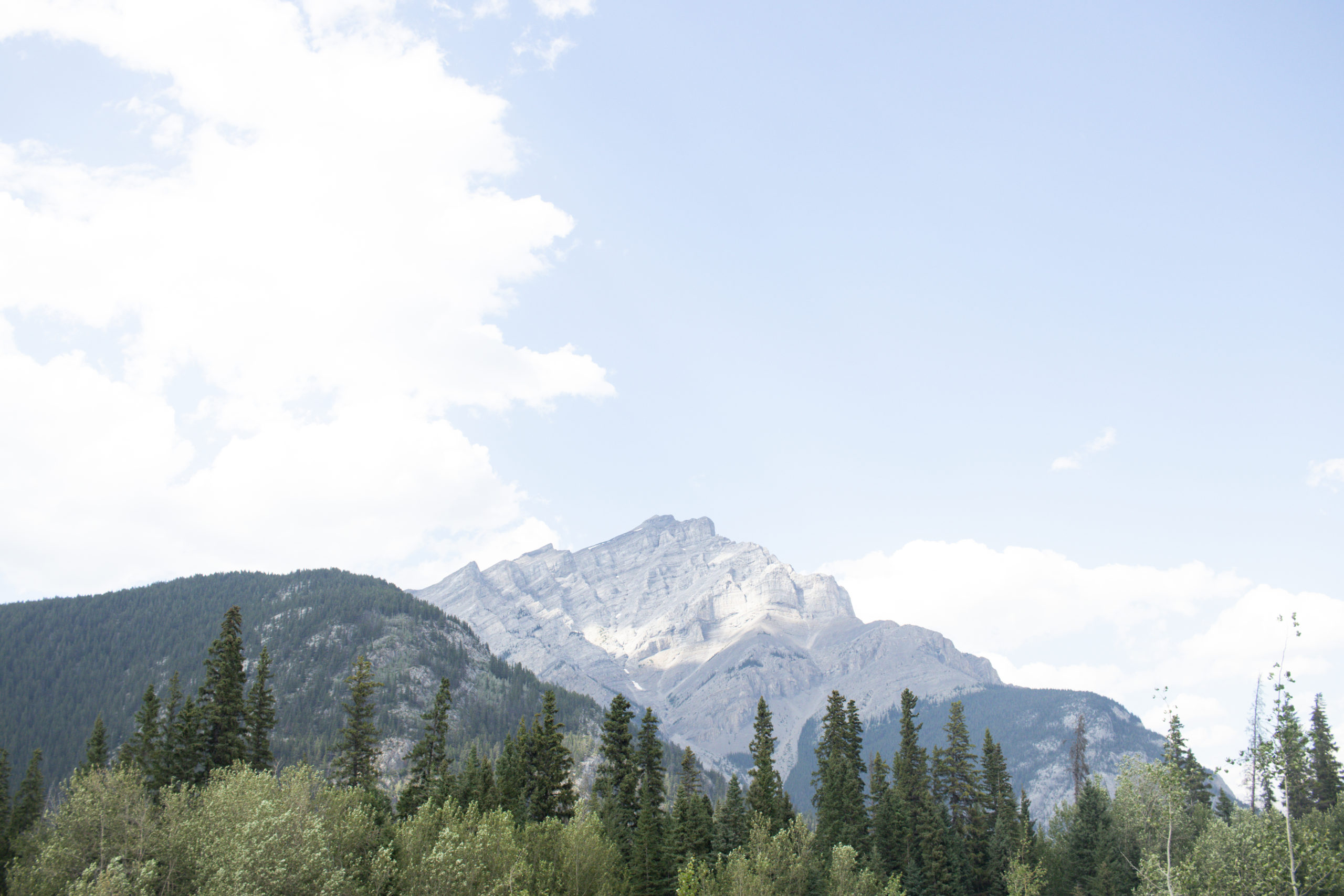 Mount Rundle with trees in the foreground in in Banff National Park