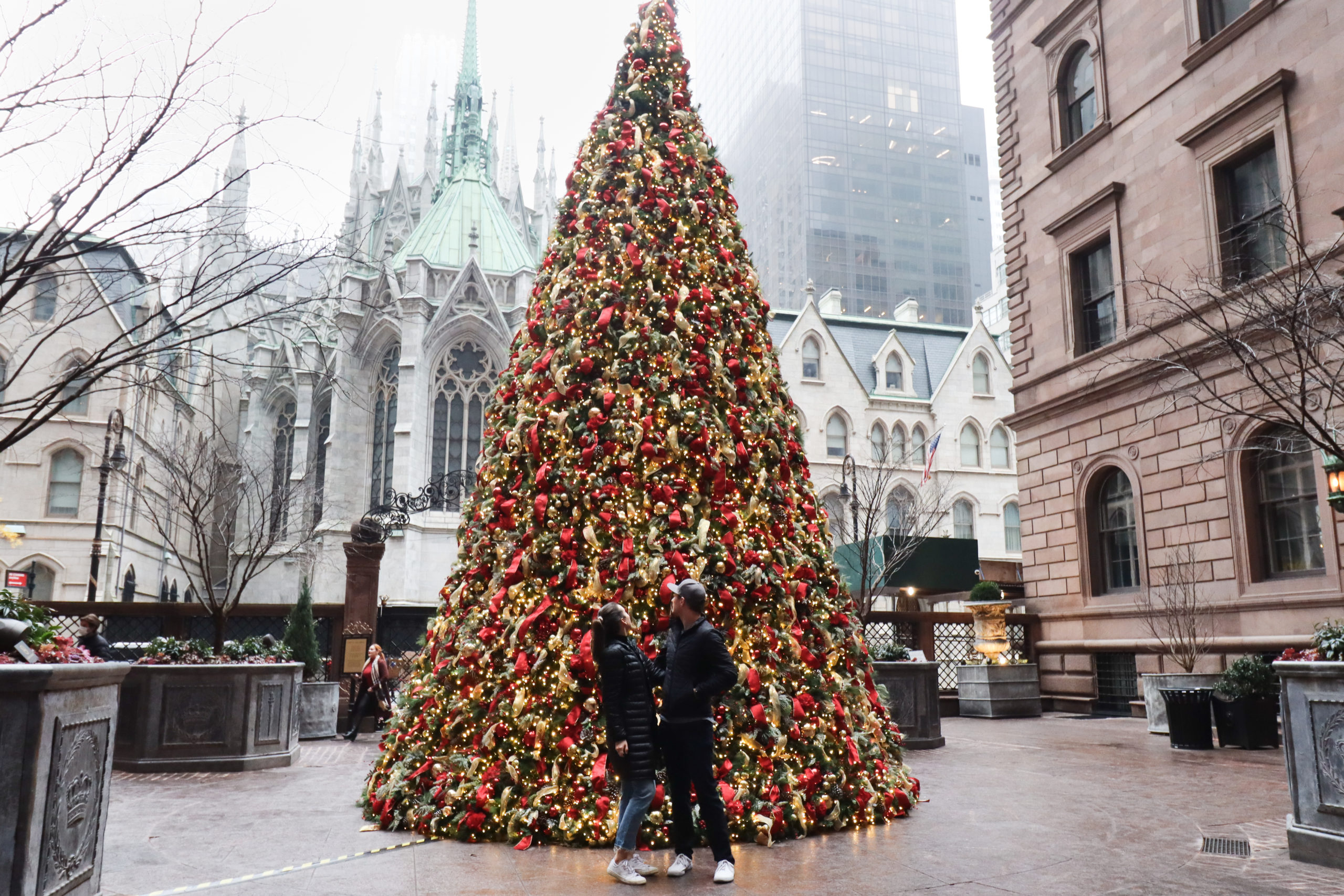 A couple standing in front of the Lotte Palace's Christmas tree.
