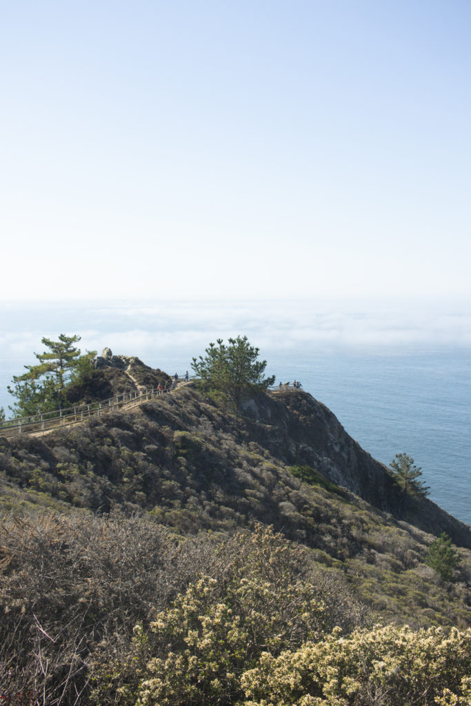 A view of Muir Overlook, one of the unique places in San Francisco to visit.