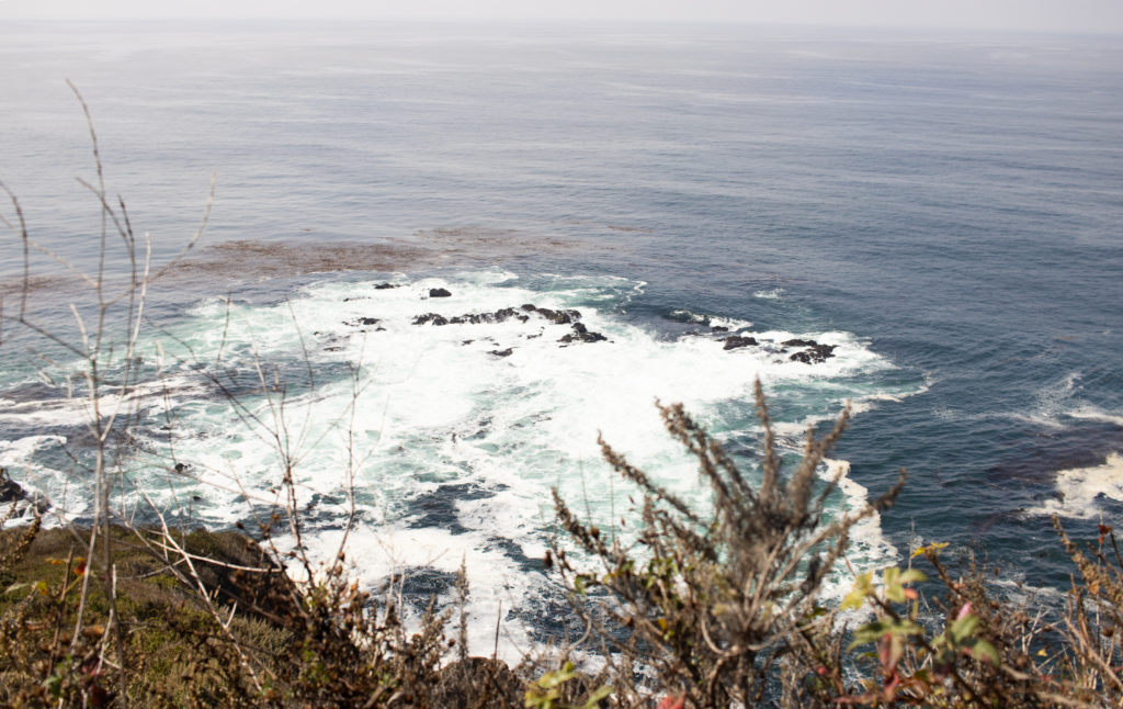 View of the coastline along the Pacific Coast Highway road trip