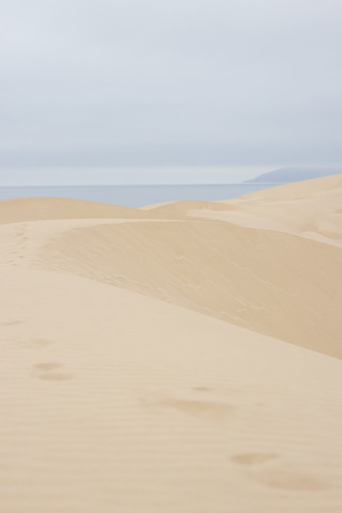 A view of Pismo Dunes, a stop along the Pacific Coast Highway road trip
