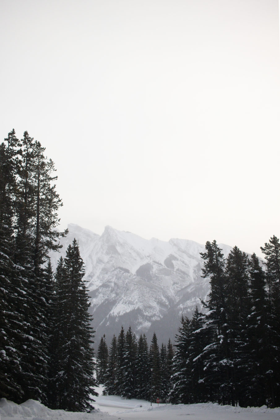 8 Amazing Activities to do During a Banff Winter - Janessa and Colin