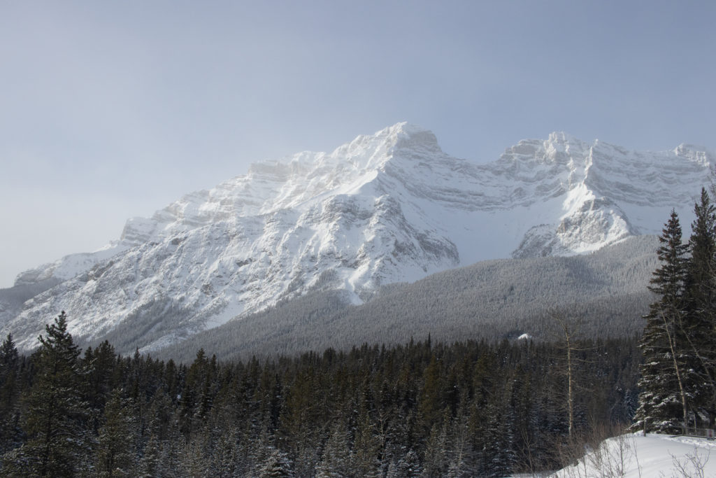 A view of Mount Costigan during a Banff winter