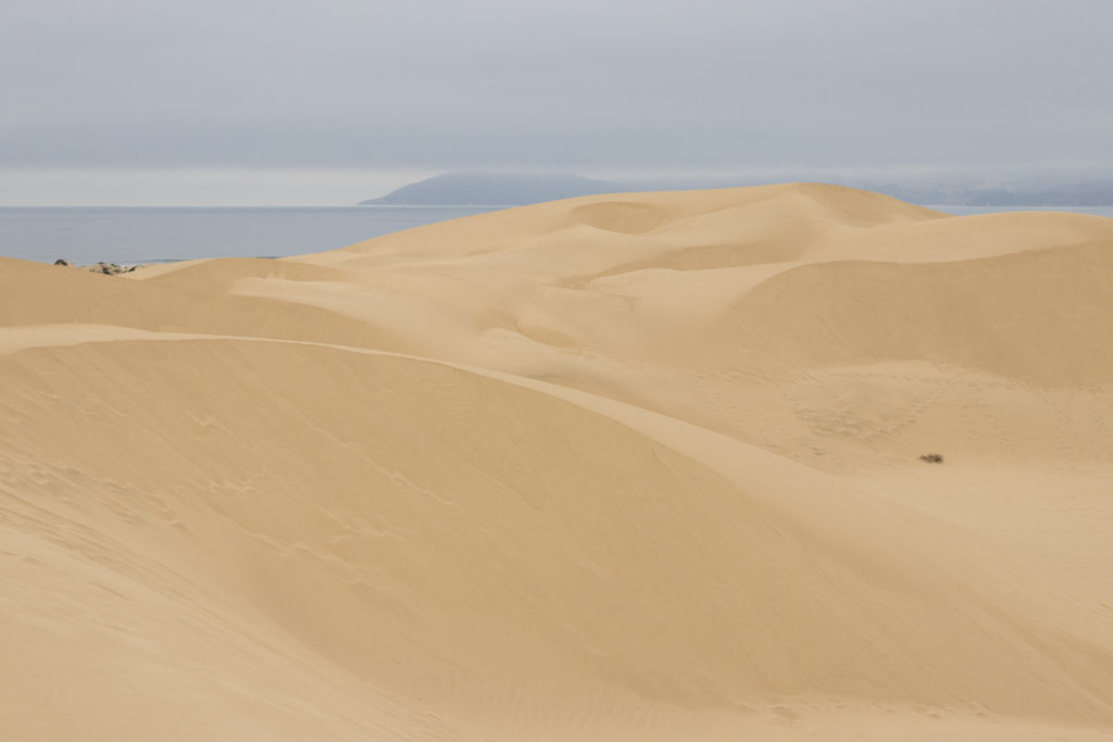 A view of Pismo Dunes with the ocean in the far background