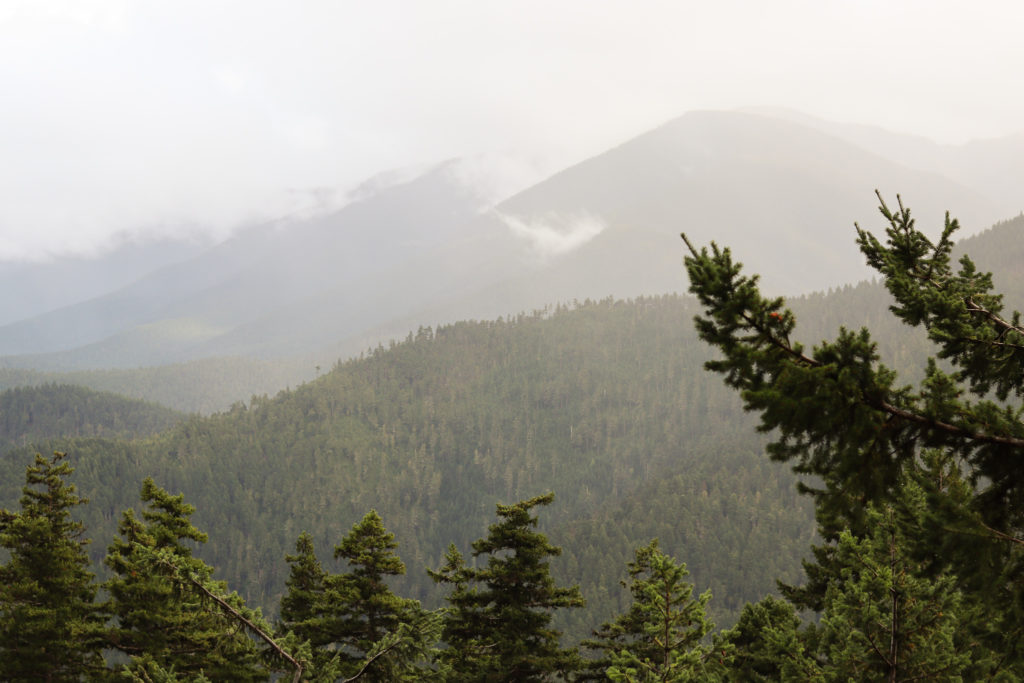 View of mountain tops on Hurricane Hill, one of the best hikes in Olympic National Park 