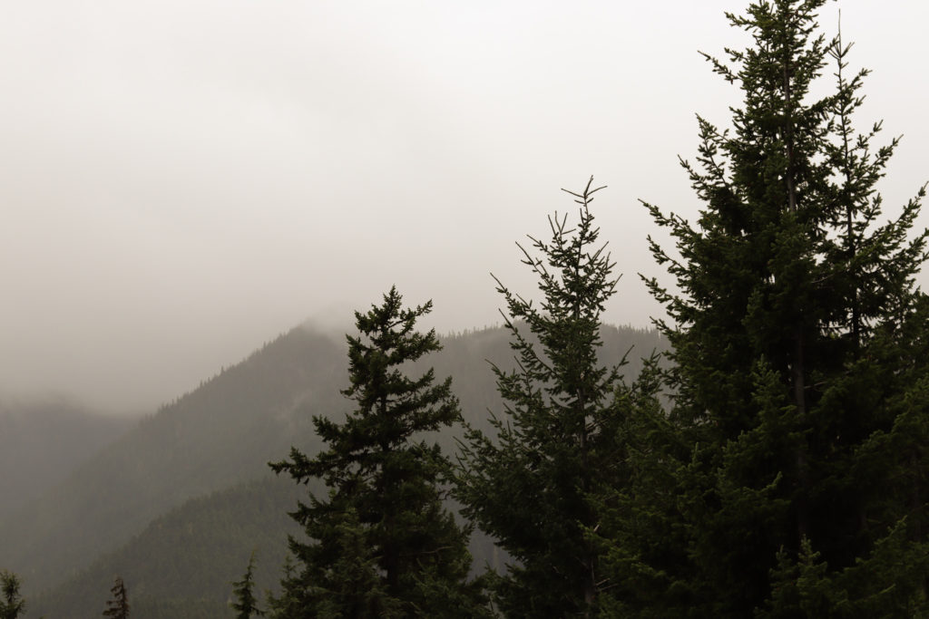 View of mountain tops on Hurricane Hill, one of the best hikes in Olympic National Park 