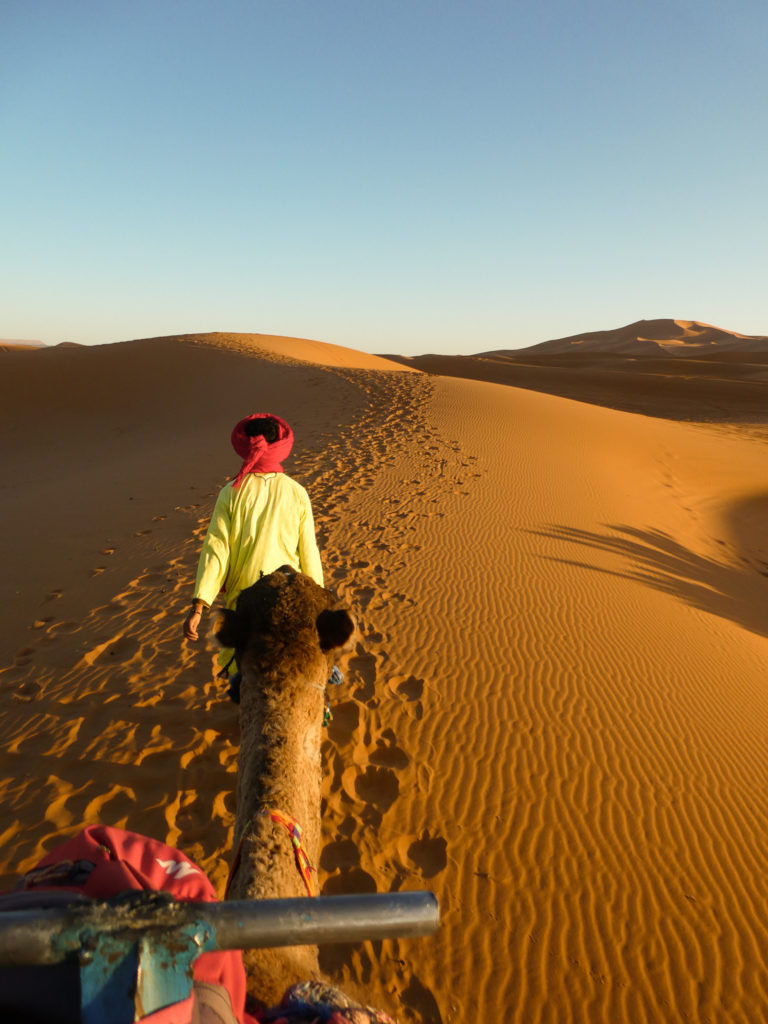 A camel being lead by a man in the Sahara Desert, Morocco