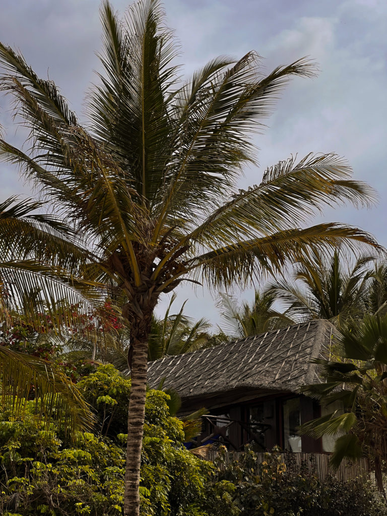 Photo of a tropical looking building among palm trees in Zanzibar.
