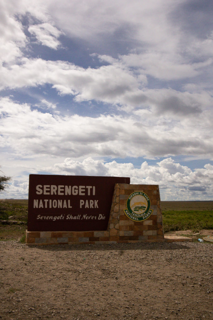 Lion sitting atop of direction sign in Serengeti National Park