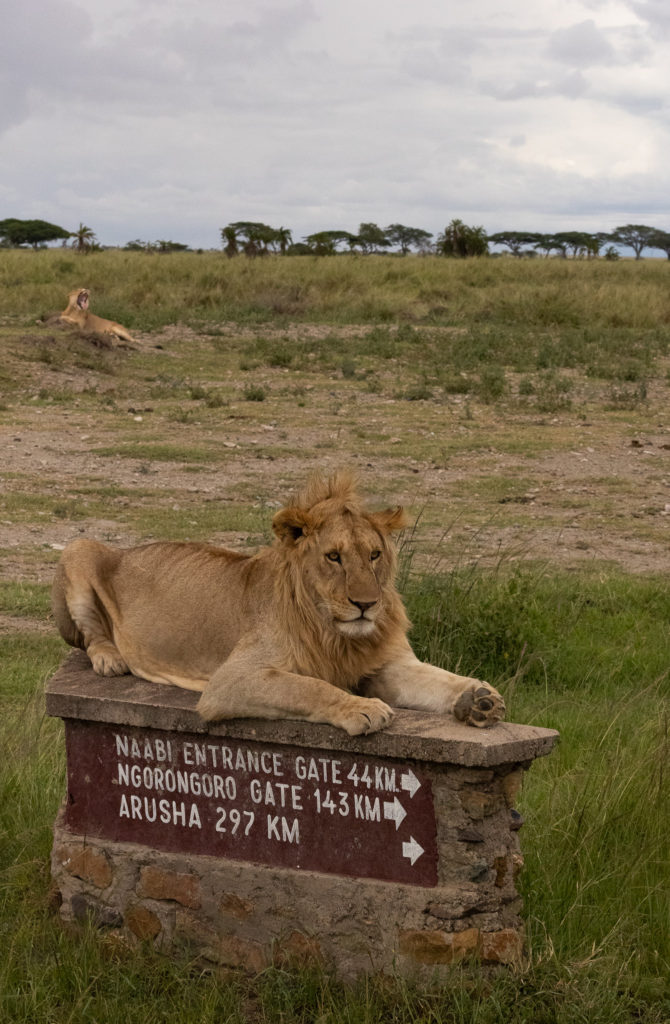 Entrance sign to Serengeti National Park