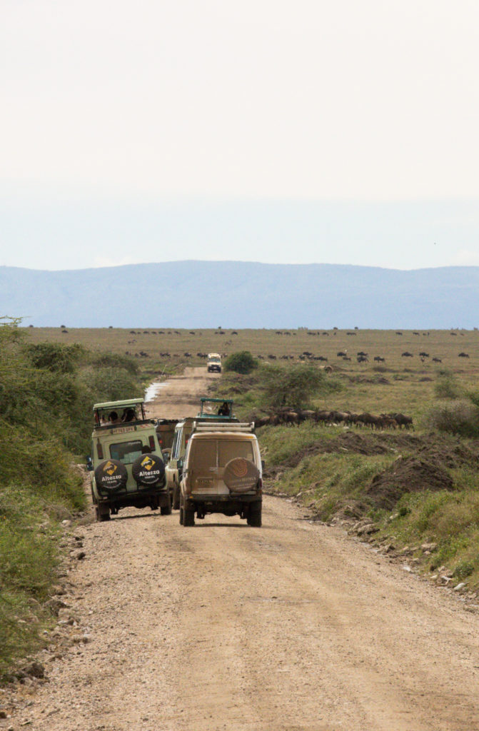 Safari vehicles along a dirt road on a Serengeti safari